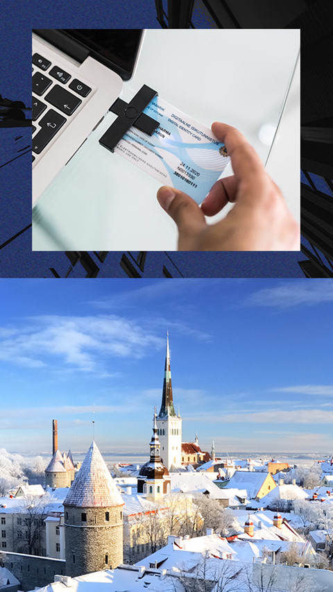 Estonia - quoc gia 'ky thuat so' dau tien tren the gioi hinh anh 9