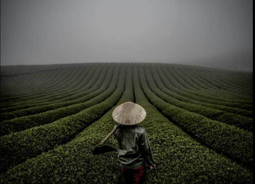 Việt Nam đẹp 'nghẹt thở' qua ống kính nhiếp ảnh gia Mỹ