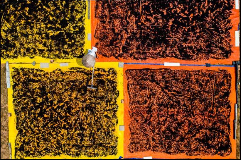 Việt Nam đẹp 'nghẹt thở' qua ống kính nhiếp ảnh gia Mỹ