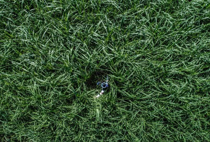 Việt Nam đẹp 'nghẹt thở' qua ống kính nhiếp ảnh gia Mỹ