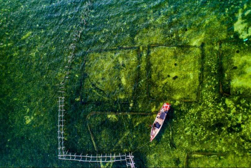 Việt Nam đẹp 'nghẹt thở' qua ống kính nhiếp ảnh gia Mỹ