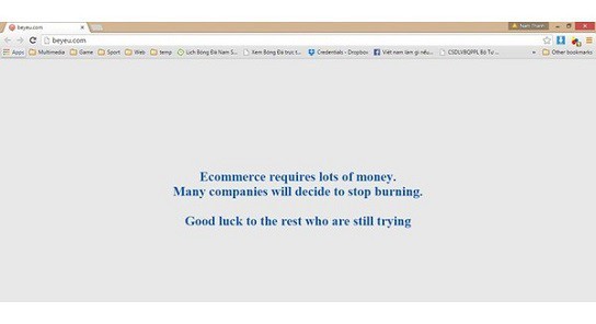  Hết Vuivui đến Robins.vn đóng cửa, thị trường thương mại điện tử Việt Nam khốc liệt ra sao? - Ảnh 2.