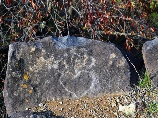 Du khach ve bay tren dinh Fansipan gay phan no cong dong mang hinh anh 2