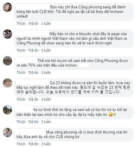 'Ho ra la lam loan' tren mang, CDV Viet dang ngay cang xau xi hinh anh 1