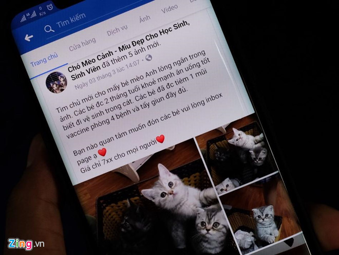 Lua sinh vien ban Alaska, Husky gia 800.000 dong tren Facebook hinh anh 1