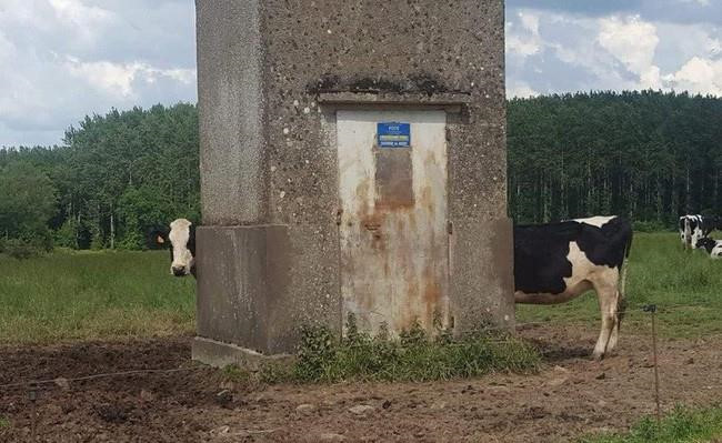 Loat anh de gay hieu lam neu ban moi nhin qua lan dau hinh anh 2