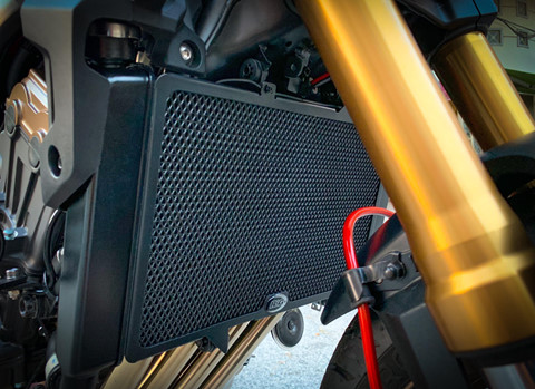 Ve VN chua lau, Honda CB650R da co ban do hang hieu ton tram trieu hinh anh 11