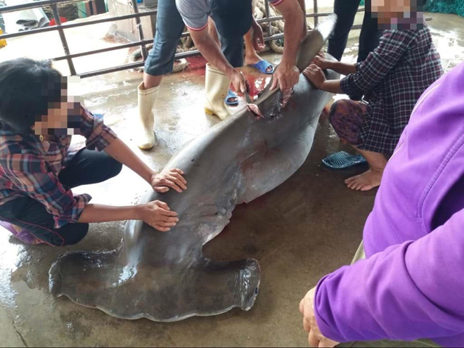 Thanh nien lam thit ca map dau bua, rao ban vay 10 trieu tren Facebook hinh anh 2