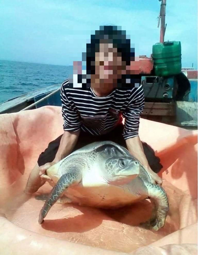 Thanh nien lam thit ca map dau bua, rao ban vay 10 trieu tren Facebook hinh anh 3