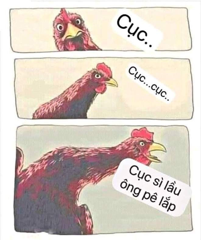 Cum tu vo nghia 'cuc xi lau la ong be lap' dang chiem song mang xa hoi hinh anh 8