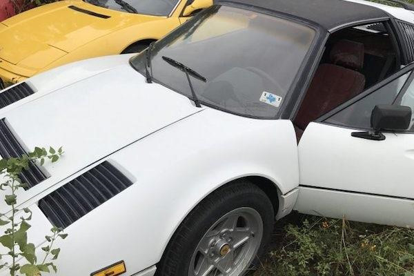 Hang loat sieu xe bi bo quen o mot khu vuon hoang hinh anh 2