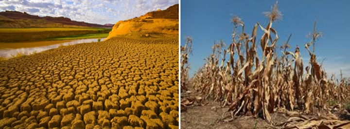 2019 được dự báo là năm nắng nóng lịch sử với nhiều hiểm họa