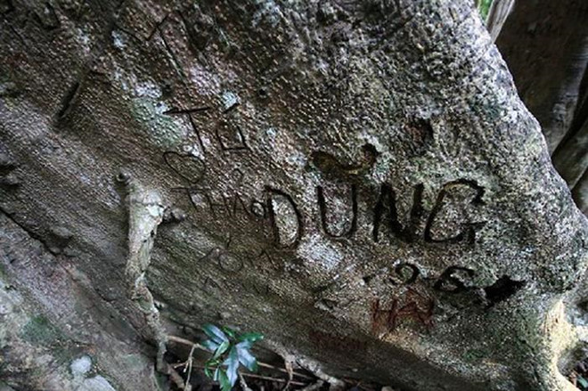 Nhung hinh anh di tich, khu du lich bi ve bay xau xi hinh anh 8