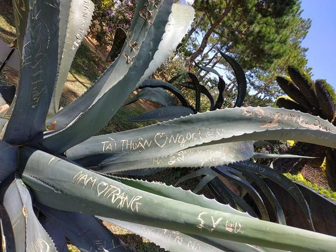 Nhung hinh anh di tich, khu du lich bi ve bay xau xi hinh anh 3