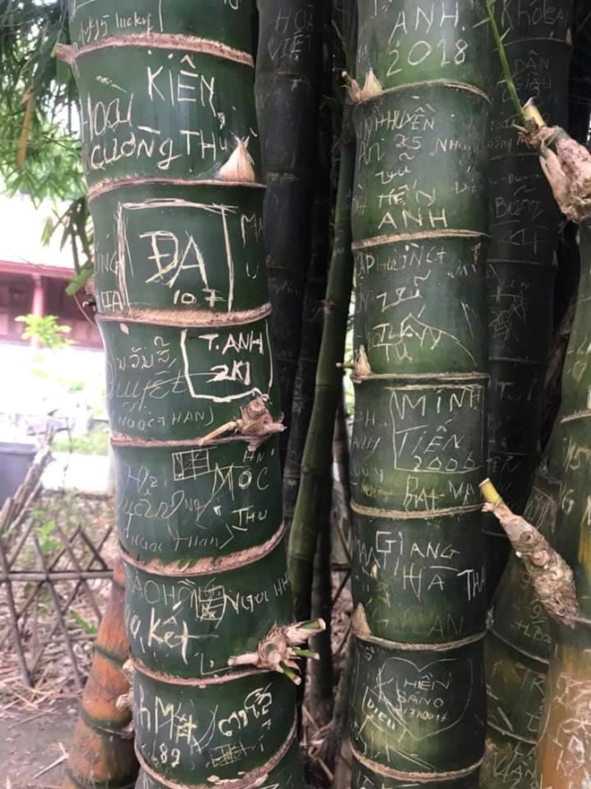 Nhung hinh anh di tich, khu du lich bi ve bay xau xi hinh anh 5