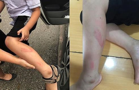Clip cô giáo Hải Phòng tát liên tiếp nhiều học sinh lớp 2 gây bức xúc