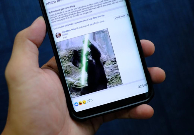 'Con bao report' dang de doa danh sap hang ngan group Facebook hinh anh 3