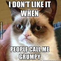 Chu meo cau co trong meme noi tieng 'Grumpy Cat' da qua doi hinh anh 5 