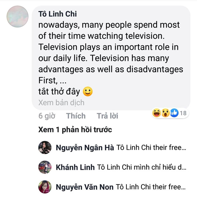 Bai Vietsub tieng Anh khien dan chuyen ngu cung phai hoang mang hinh anh 2