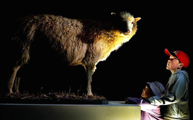 iPhone, Photoshop vao top nhung phat minh quy gia 30 nam qua hinh anh 7