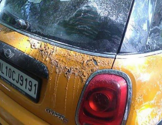 Hang loat oto bi tat axit chi vi chiem cho do xe hinh anh 1