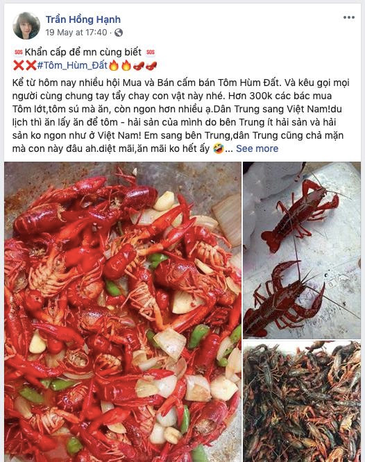 Cu dan mang dong loat keu goi tay chay tom hum dat hinh anh 1