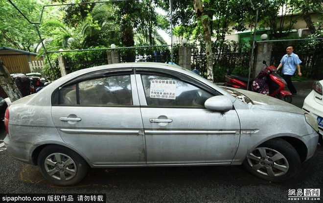 Vut oto o bai 600 ngay khong lay, phi gui xe 12.000 USD hinh anh 2