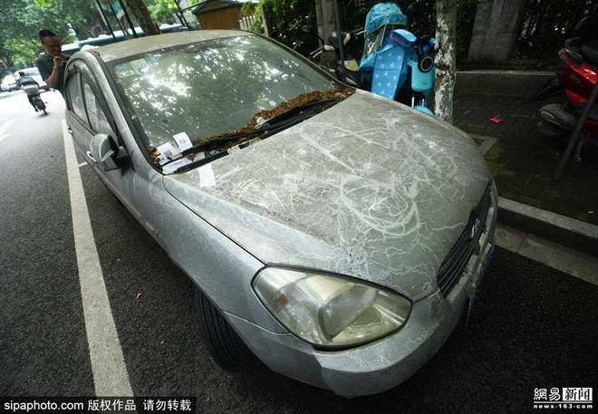 Vut oto o bai 600 ngay khong lay, phi gui xe 12.000 USD hinh anh 1