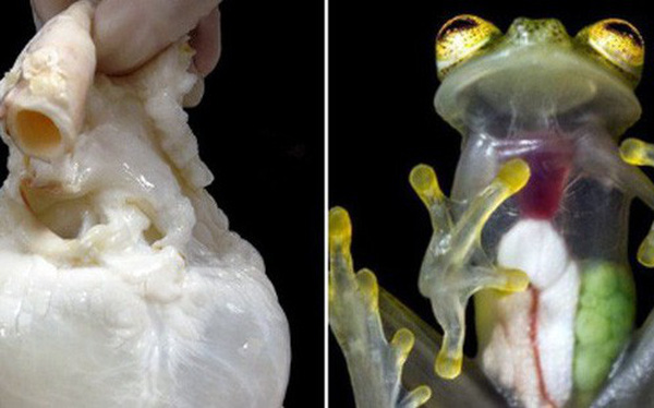 10 bức ảnh lột trần loạt sự thật nho nhỏ về cuộc sống nhưng đủ khiến bạn giật mình