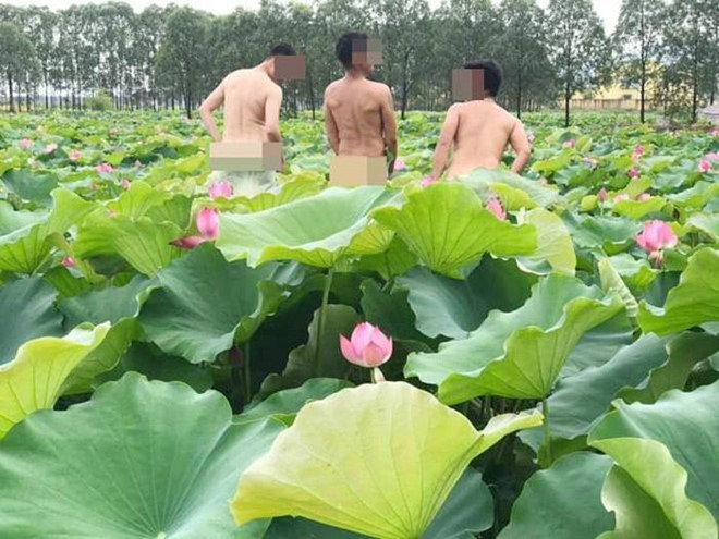 Mua he - thoi diem gioi tre thi nhau chup nude, phan cam voi hoa sen? hinh anh 1