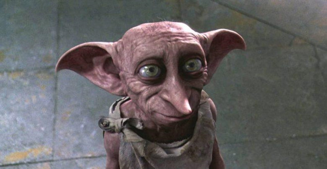 Sinh vật kỳ lạ giống trong phim Harry Potter gây xôn xao mạng xã hội