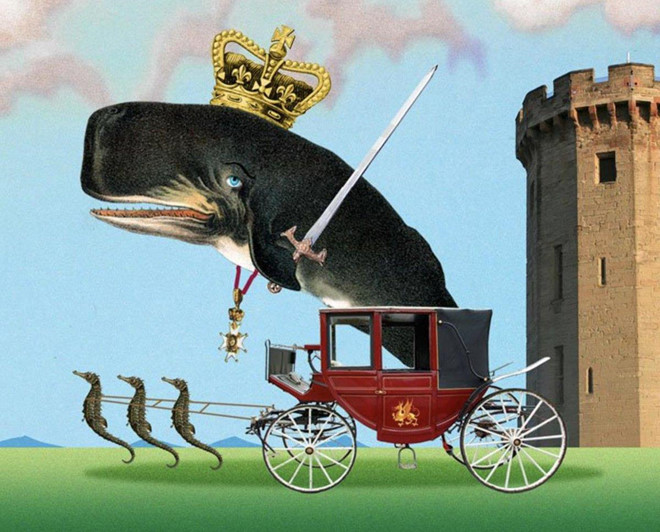 TT Trump xoa voi tweet gay bao, nhung cu dan mang nhanh tay hon hinh anh 3