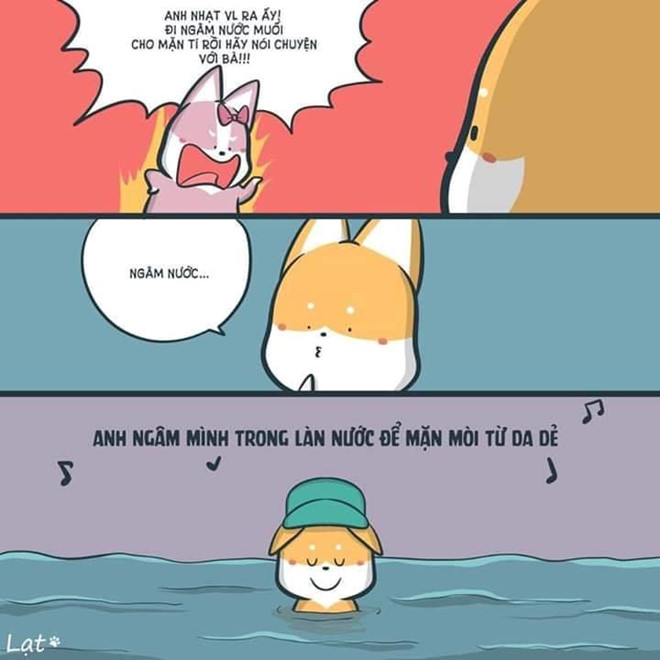 'Lay' nhu Den Vau, tu gom anh che ve minh va khen 'dinh' hinh anh 5