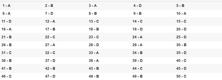 Đáp án 24 mã đề môn Toán kỳ thi THPT quốc gia 2019