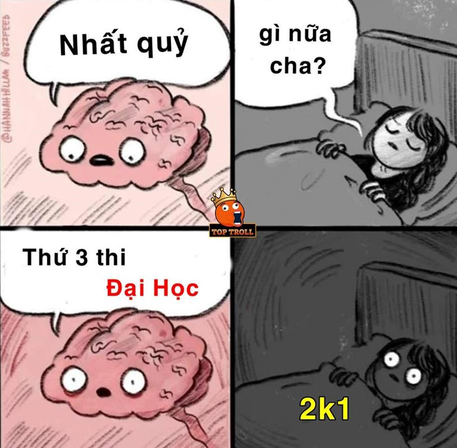 Anh che Den Vau 'bo tay' khi nhin thay de thi Toan 2019 hinh anh 7 