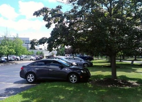 Cách bảo vệ xe dưới trời nắng nóng hiệu quả nhất - ảnh 1