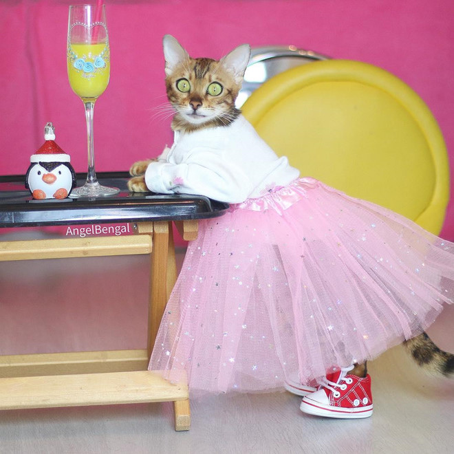 Cap 'sen va boss' khien dan mang ghen ty khi di du lich khap noi hinh anh 10