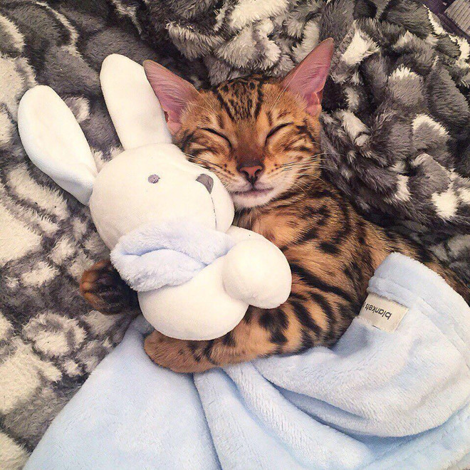 Cap 'sen va boss' khien dan mang ghen ty khi di du lich khap noi hinh anh 8