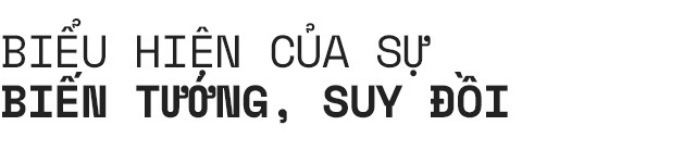 Ác mộng mới mang tên Deepfake: Giả mạo ghép ảnh phụ nữ khoả thân, tương lai Internet sẽ đáng sợ đến nhường nào? - Ảnh 6.