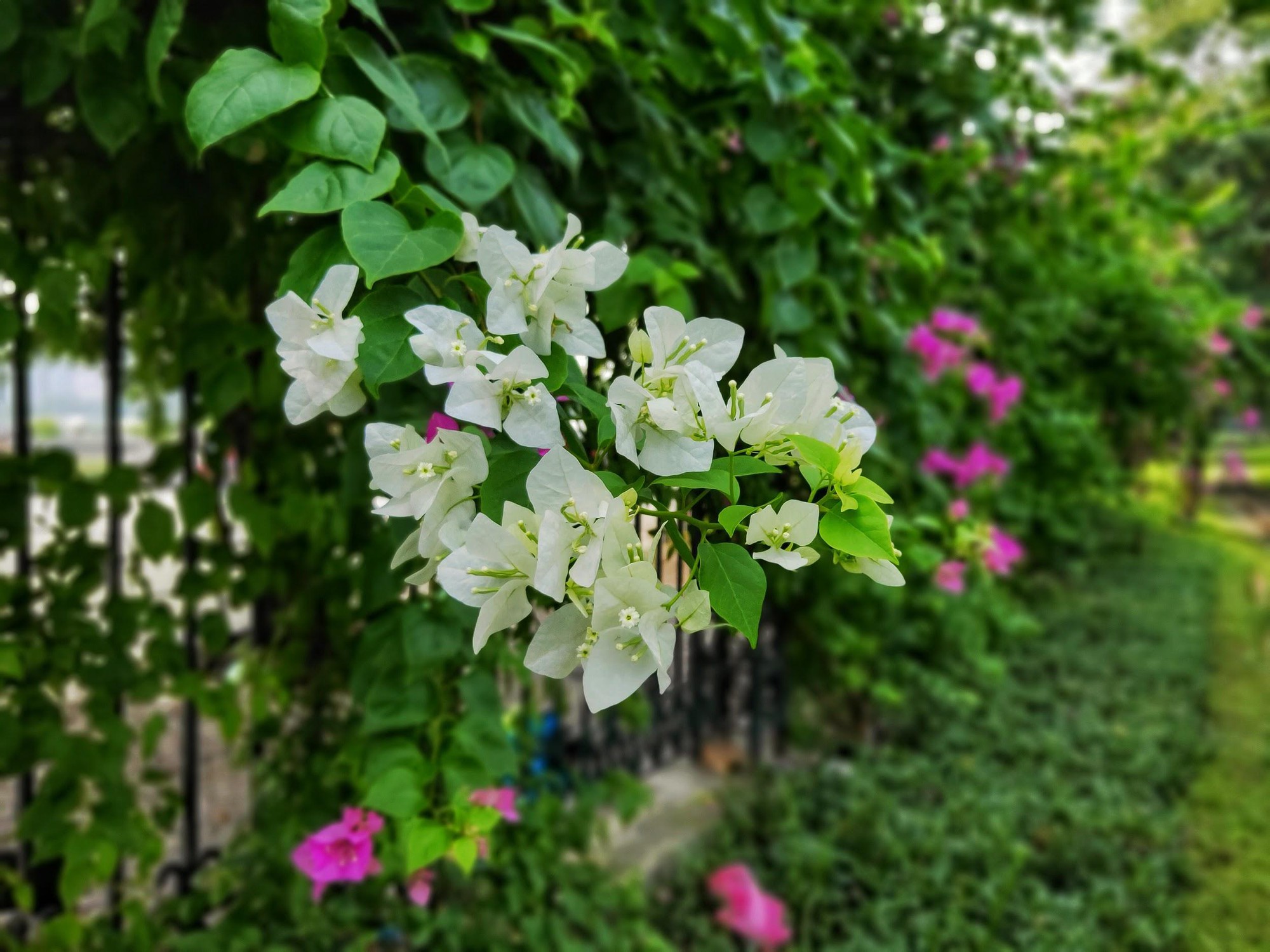 Chụp xóa phông người xưa rồi, giờ phải chụp đồ vật mới hút like - Ảnh 5.