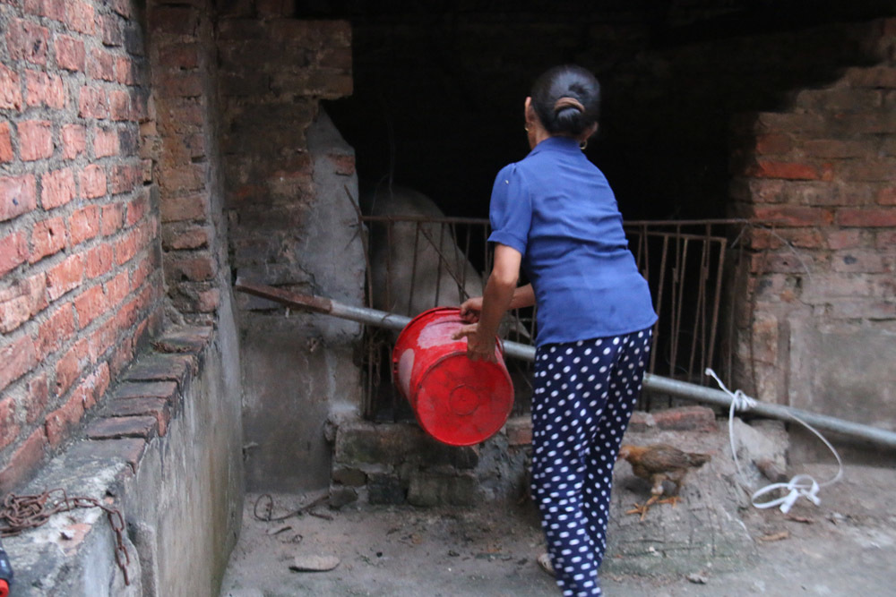 Quá khứ cơ cực và bước ngoặt thay đổi cuộc đời bà Tân VLog