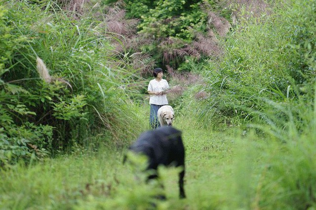 Cặp vợ chồng lập trình viên từ chối mua nhà ở thành phố, về quê xây nhà nhỏ bên khoảng sân vườn trồng rau và hoa mỗi ngày - Ảnh 2.