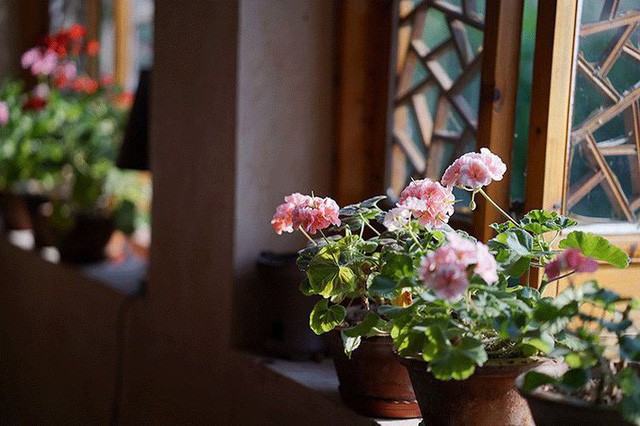 Cặp vợ chồng lập trình viên từ chối mua nhà ở thành phố, về quê xây nhà nhỏ bên khoảng sân vườn trồng rau và hoa mỗi ngày - Ảnh 16.