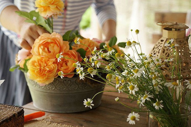 Cặp vợ chồng lập trình viên từ chối mua nhà ở thành phố, về quê xây nhà nhỏ bên khoảng sân vườn trồng rau và hoa mỗi ngày - Ảnh 18.