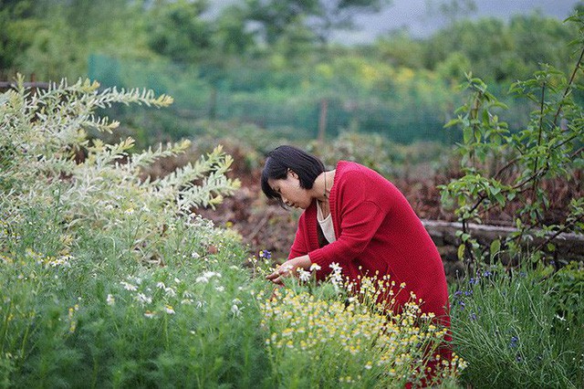 Cặp vợ chồng lập trình viên từ chối mua nhà ở thành phố, về quê xây nhà nhỏ bên khoảng sân vườn trồng rau và hoa mỗi ngày - Ảnh 3.