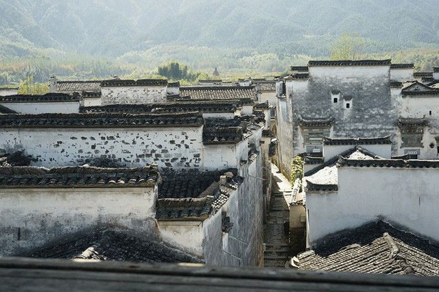 Cặp vợ chồng lập trình viên từ chối mua nhà ở thành phố, về quê xây nhà nhỏ bên khoảng sân vườn trồng rau và hoa mỗi ngày - Ảnh 8.