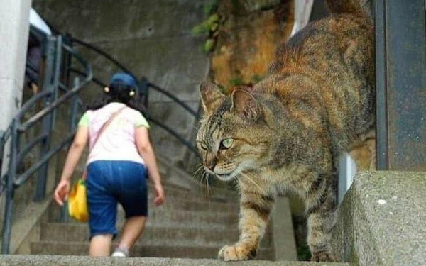 Loạt ảnh chẳng cần photoshop cũng làm lú lẫn bất kỳ ai nhìn vào