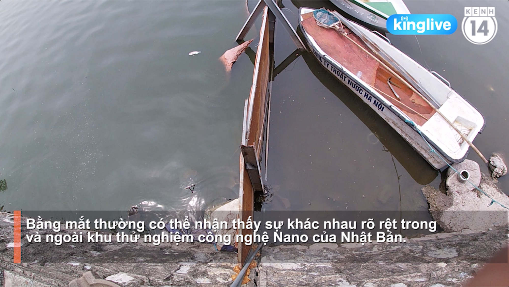 Clip: Nước hồ Tây trong xanh, nhìn thấy đáy sau 1 tháng áp dụng công nghệ Nhật Bản - Ảnh 5.