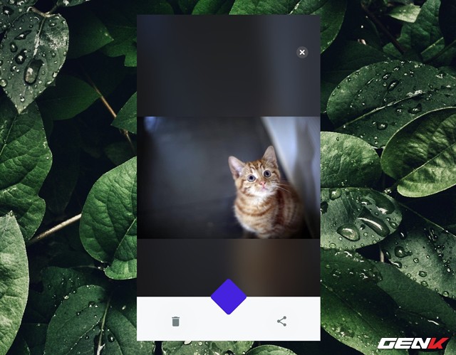 Cách ẩn hàng loạt ảnh riêng tư trên iPhone với Safe Pixel - Ảnh 13.