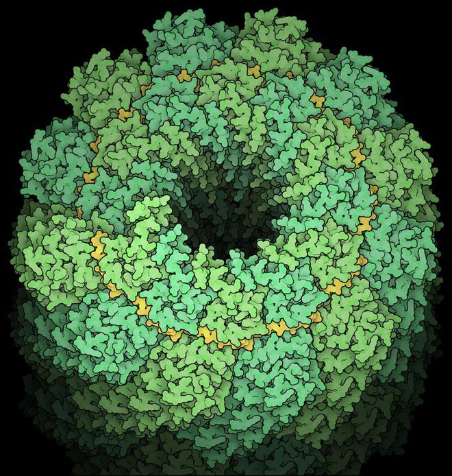 Nhà khoa học tô màu cho những con virus, biến chúng thành tác phẩm nghệ thuật - Ảnh 8.